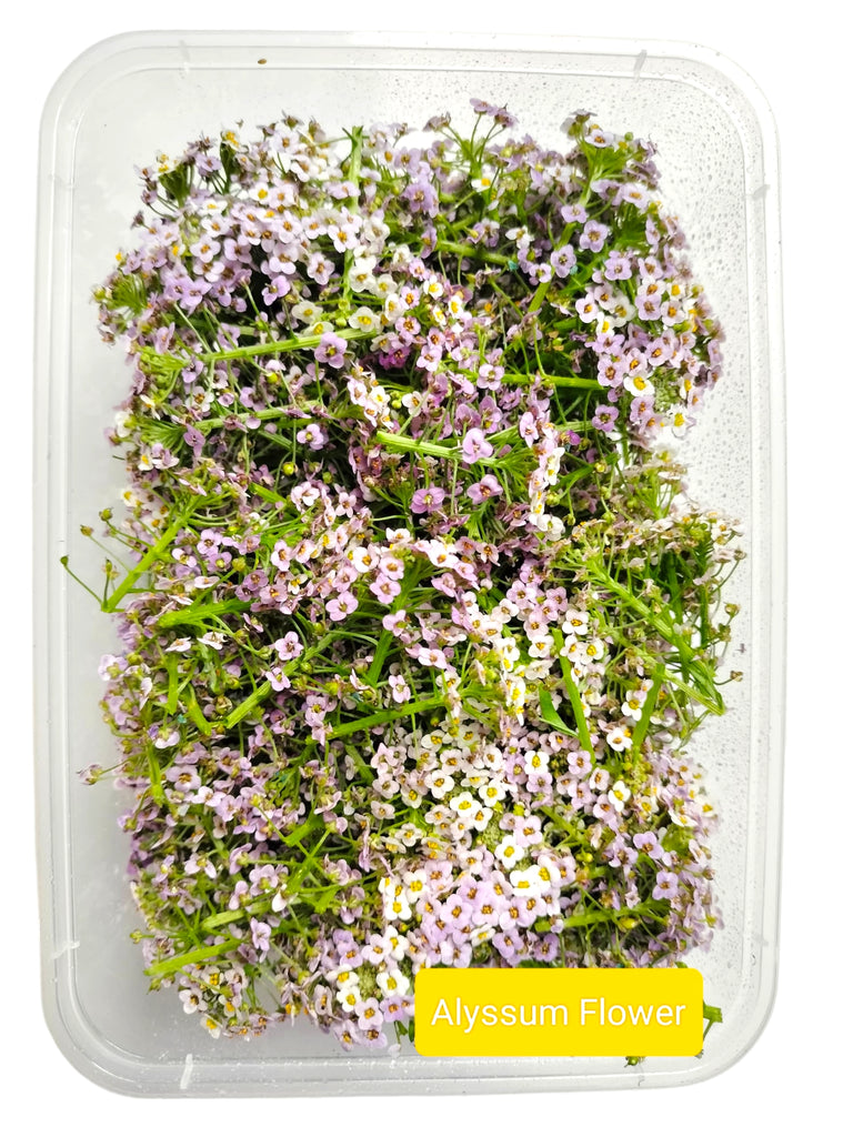 Alyssum Edible Flower