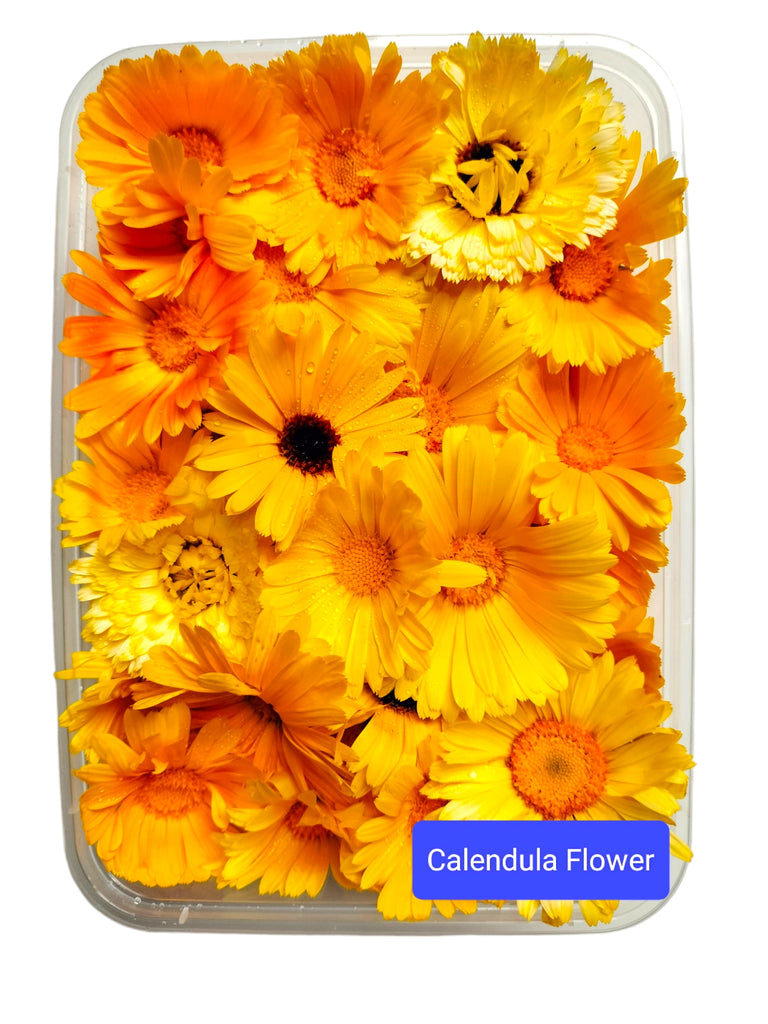 Calendula