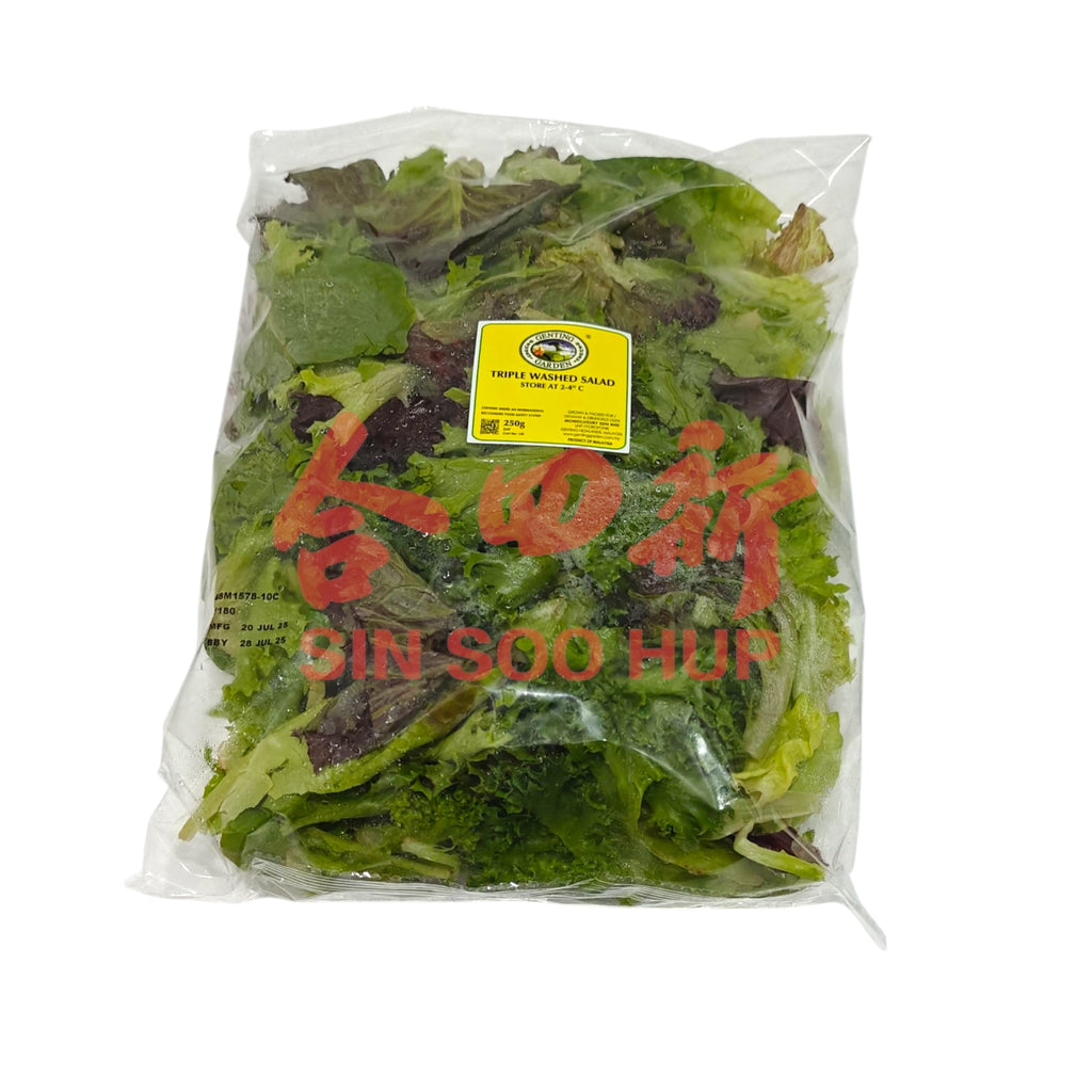 Mesculin Mix Salad