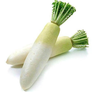 White Raddish ±400gram – SIN SOO HUP (M) SDN BHD