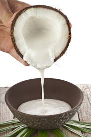 Santan - Fresh Coconut Milk